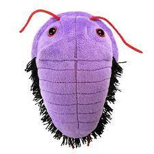 Plush Trilobite