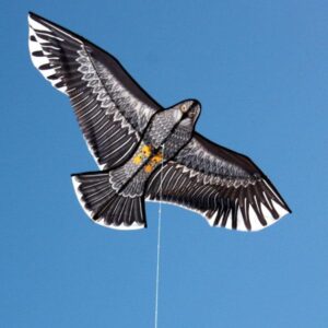 Windspeed Eagle Kite