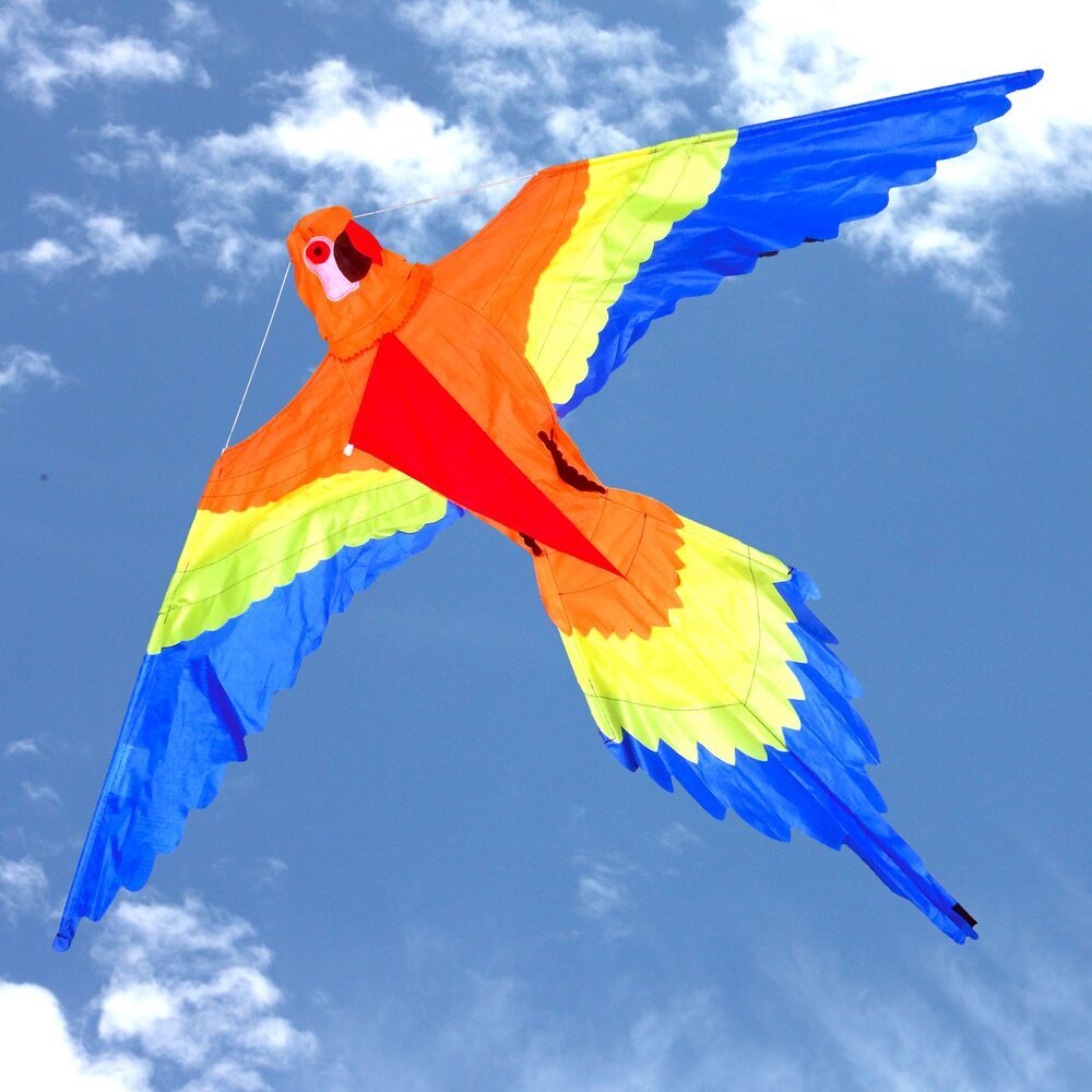 Windspeed Kite - Lorikeet