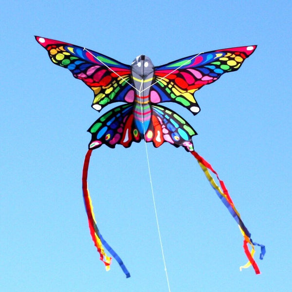 Windspeed Rainbow Butterfly Kite