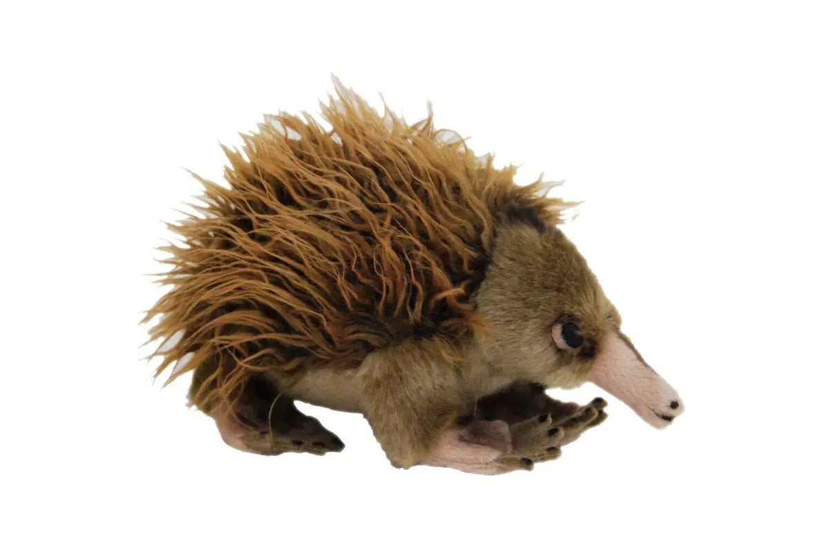 Echidna Ganyi 22cm