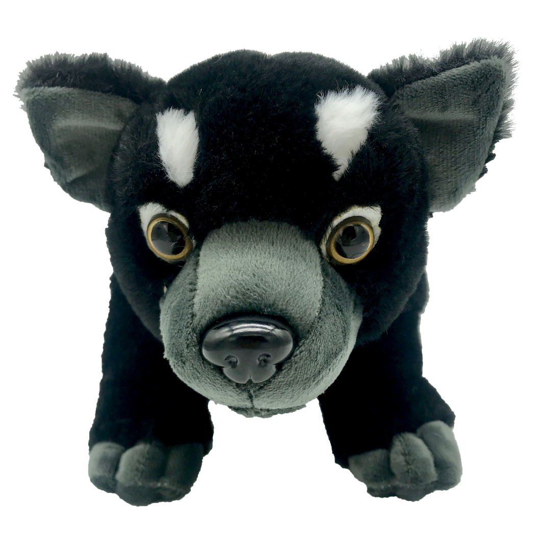 Tassie Devil Plush