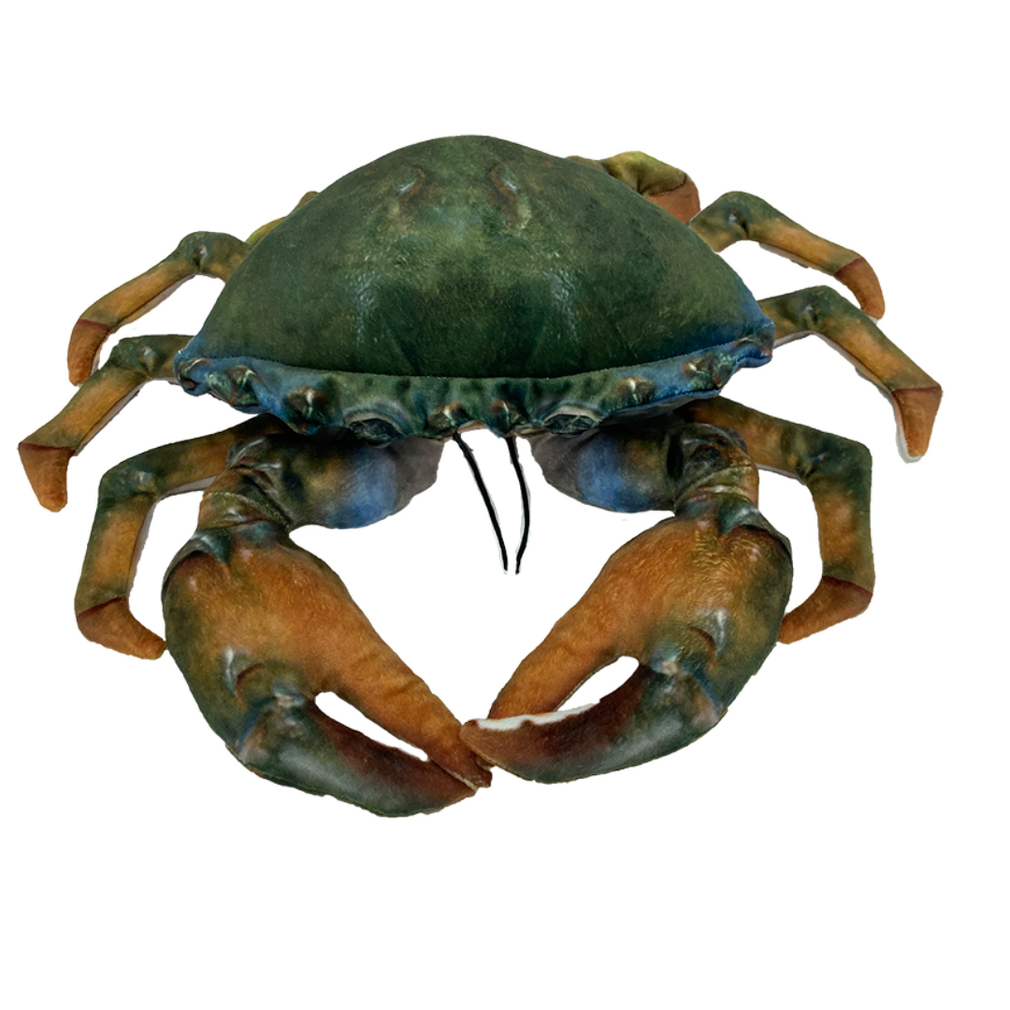 Plush Mud Crab