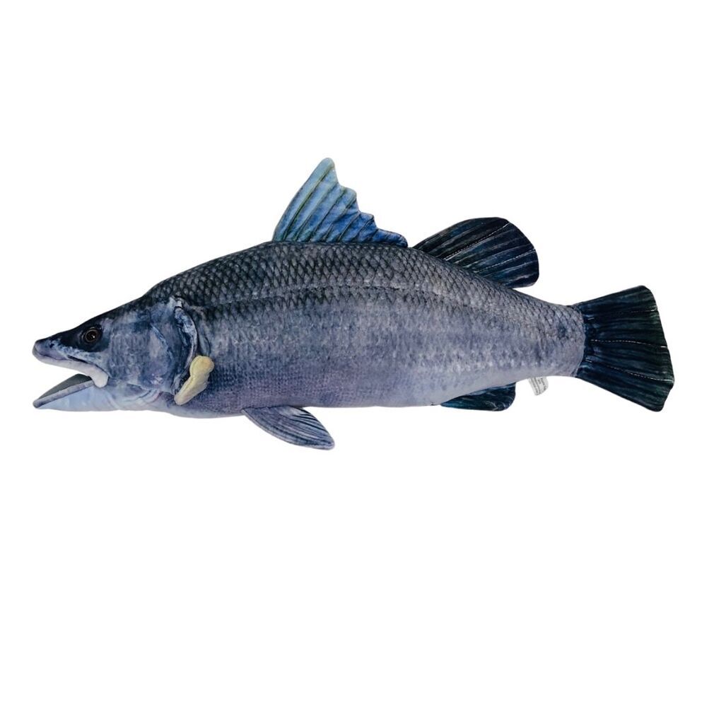 Plush Barramundi