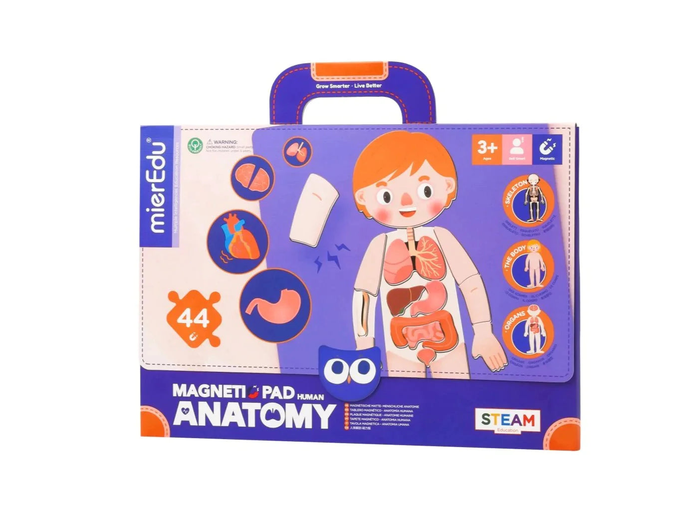 Magnetic Human Anatomy Pad