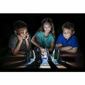 Thinkfun Shadows In The Forest